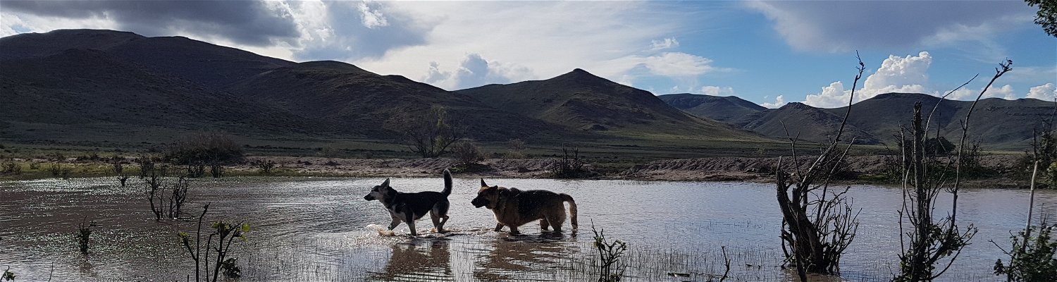Pets welcome at Sneeuberg nature reserve