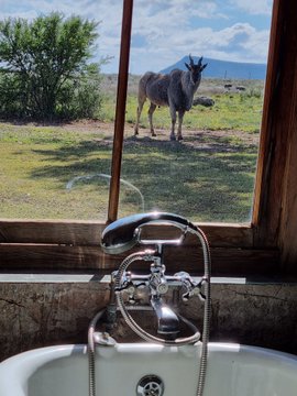 Karoo Cottage at Sneeuberg Nature Reserve