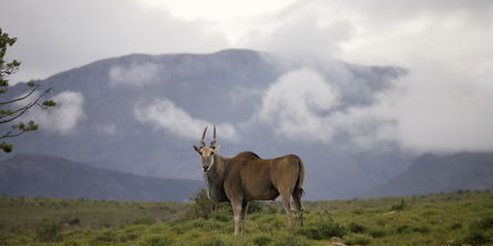 Trust Technique workshop: Get present in nature. New dates tba 2026
