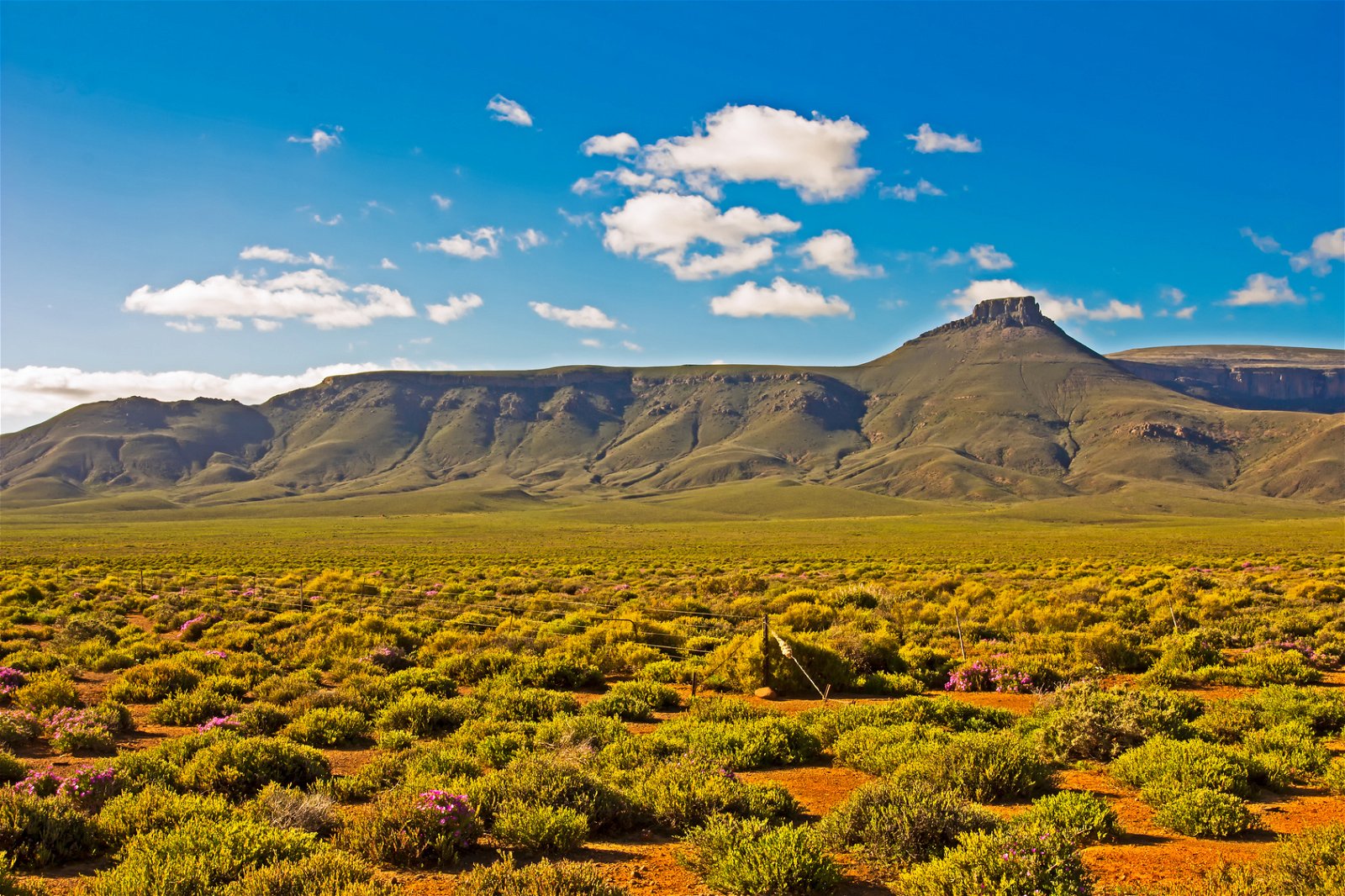 Spring Great Karoo Accommodation