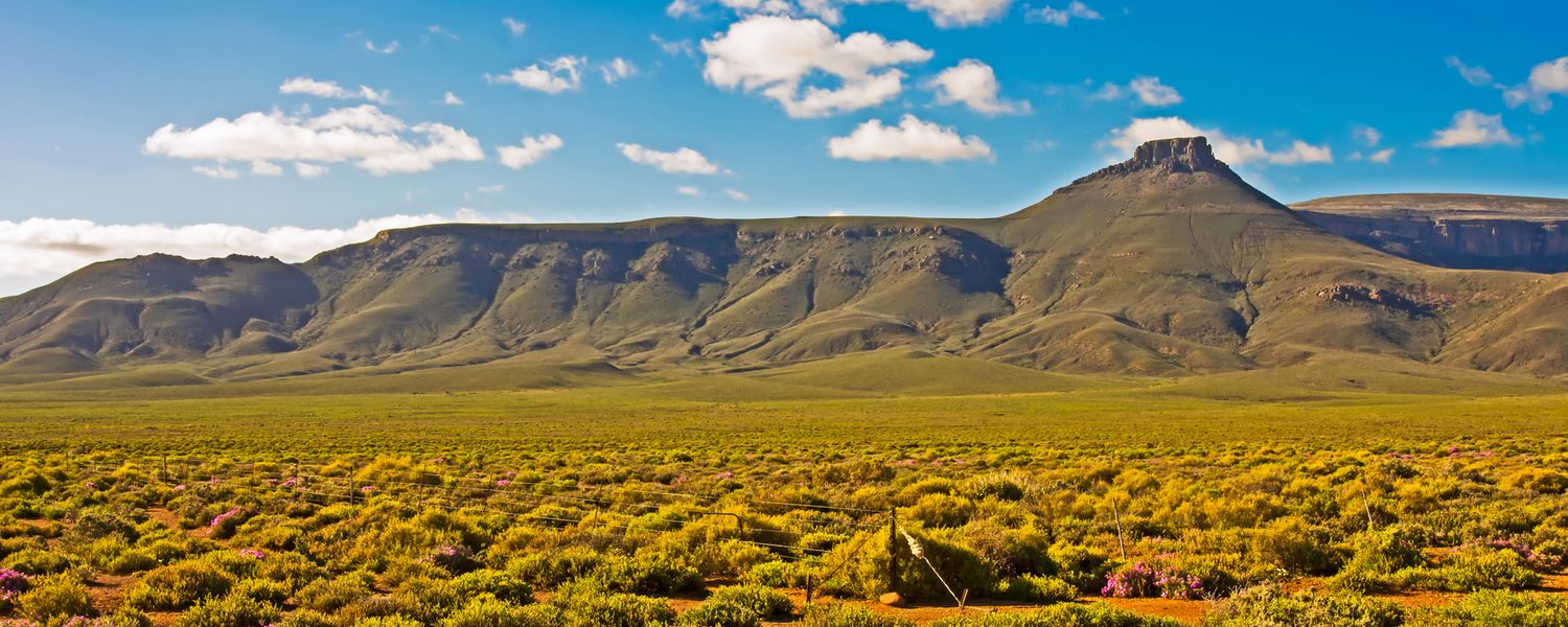 Spring Great Karoo Accommodation