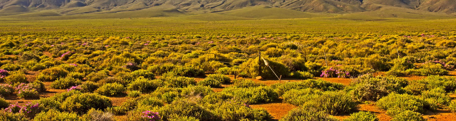 Spring Great Karoo Accommodation