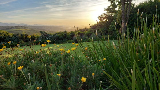 Early morning sunrise view