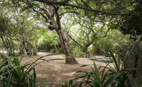 3 camping sites