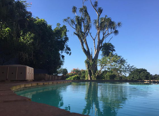 SUMMER WILDLIFE & BEACH ESCAPE ONLY AT ST LUCIA 2025