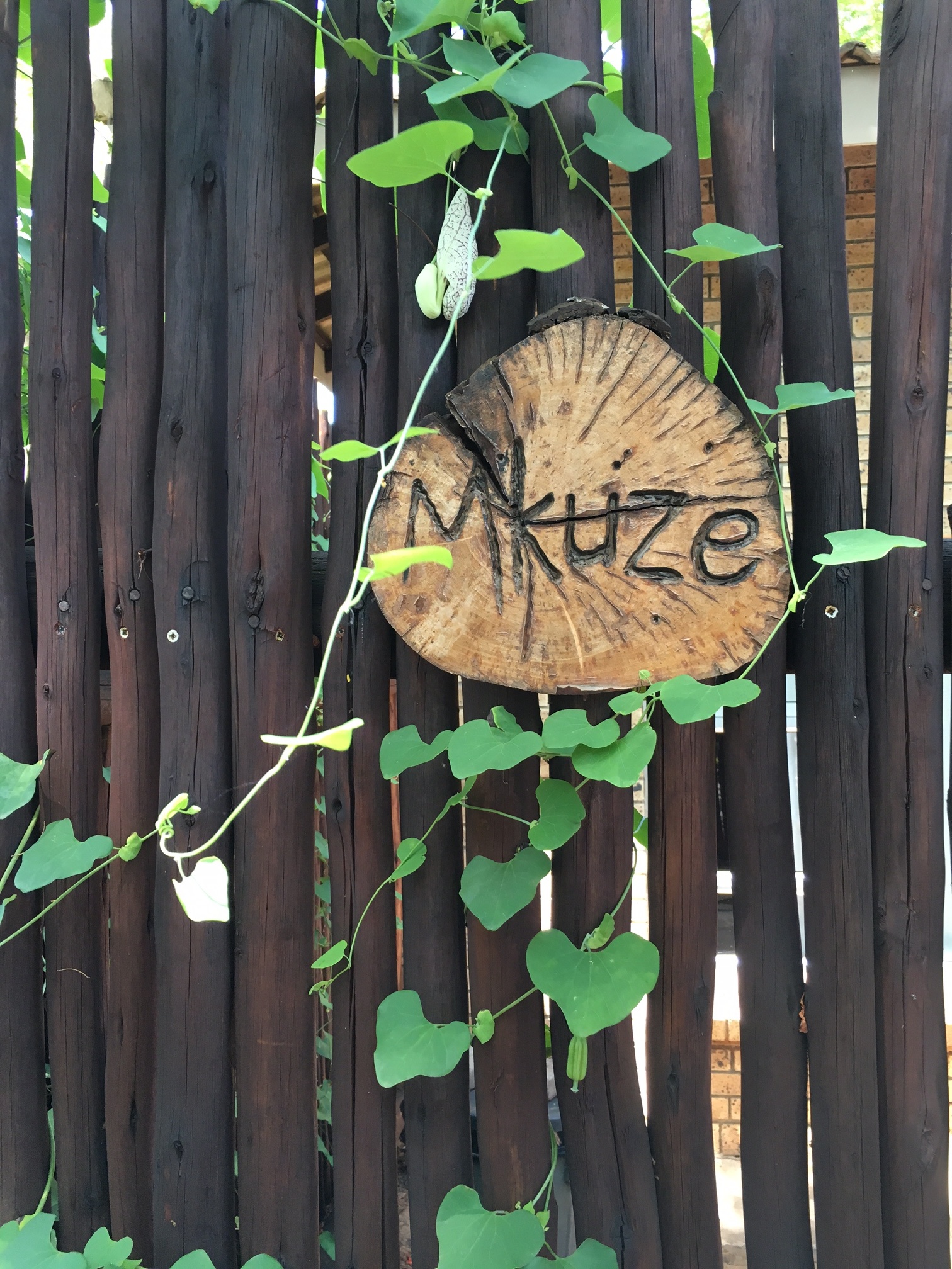 Mkuze self-catering accommodation Ingwenya Lodge