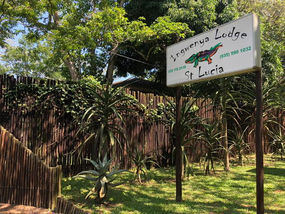 A First-Time Overseas Visitor's Guide to Staying in St Lucia, South Africa A First-Time Overseas Visitor's Guide to Staying in St Lucia, South Africa