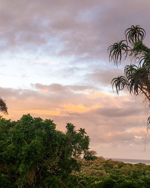 Explore St Lucia’s iSimangaliso Wetland Park