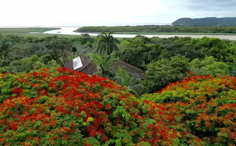Where to stay in St Lucia in South Africa