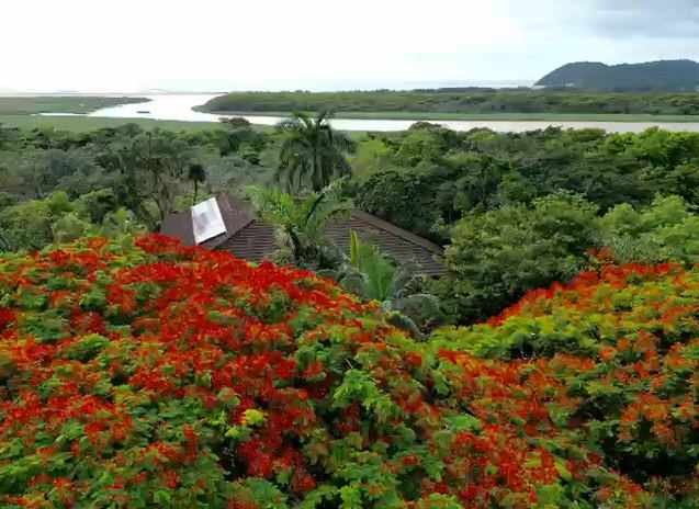 Where to stay in St Lucia in South Africa Where to stay in St Lucia in South Africa