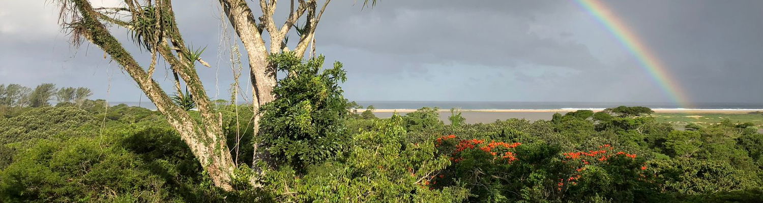 Where the Estuary Meets the Ocean