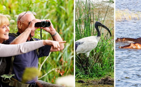 St Luica - iSimangaliso Wetland Park - Fact Sheet