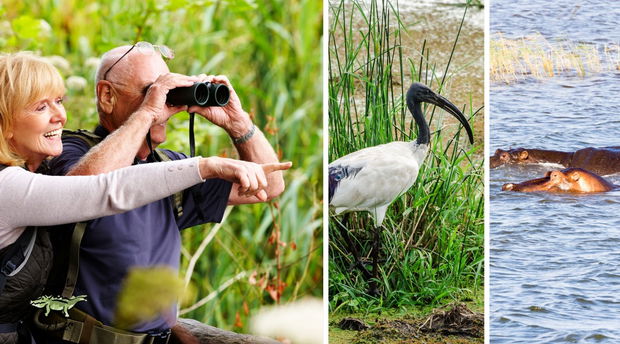 St Luica - iSimangaliso Wetland Park - Fact Sheet