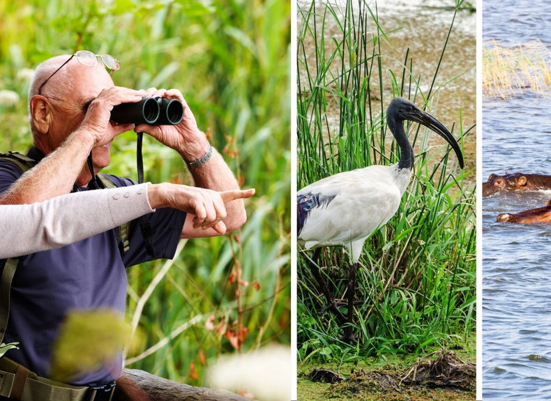 St Luica - iSimangaliso Wetland Park - Fact Sheet