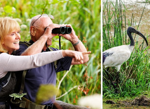 St Luica - iSimangaliso Wetland Park - Fact Sheet