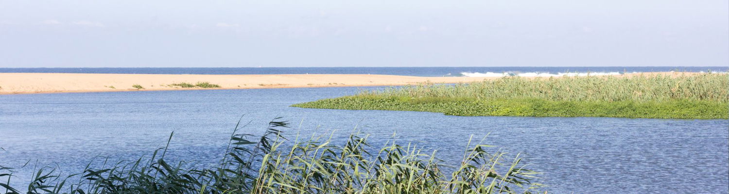 iSimangaliso Wetland Park St Lucia Kwazulu Natal South Africa