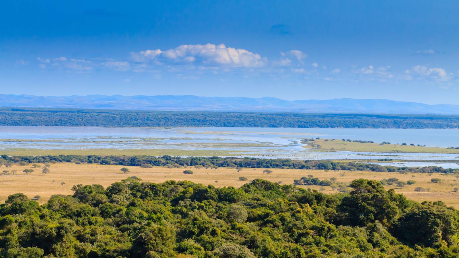 St Lucia Estuary wildlife and wetland scenery