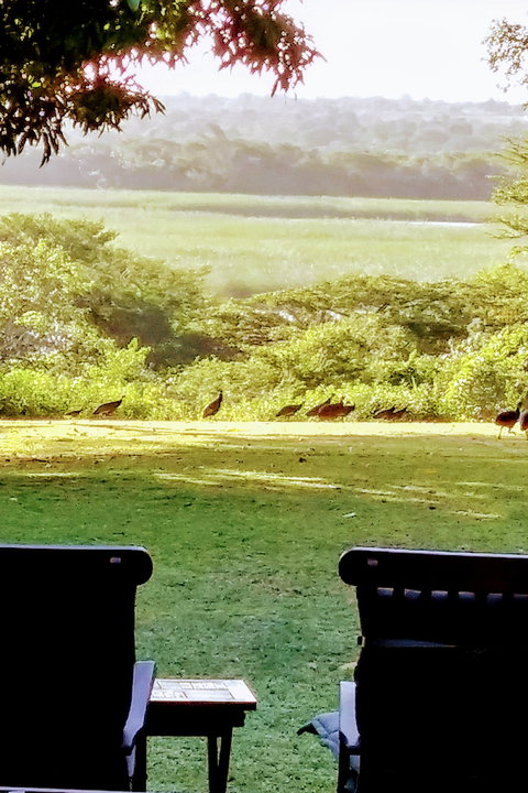Gardens overlook the St Lucia Estuary