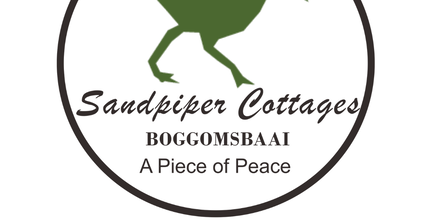 Stay 3 nights get one night free