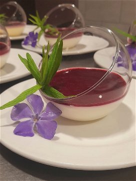 Panna Cotta with Berry Compote