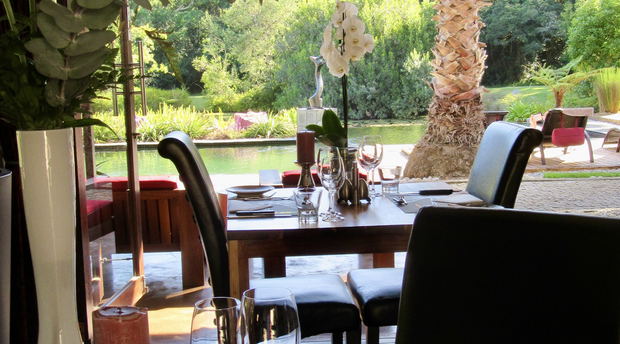 Dining at Lily Pond Dining at Lily Pond