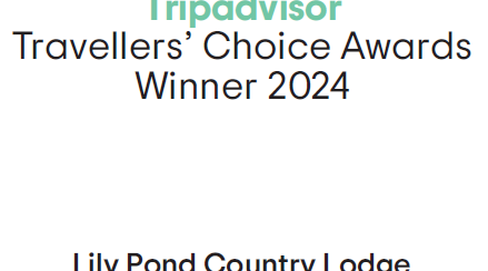 Tripadvisor, Travellers Choice Award, Lily Pond Country Lodge, top 10% Worldwide Tripadvisor, Travellers Choice Award, Lily Pond Country Lodge, top 10% Worldwide