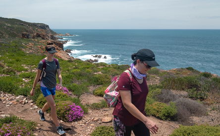 Oystercatcher Trail - 2 Nights and 1.5 Days Hike