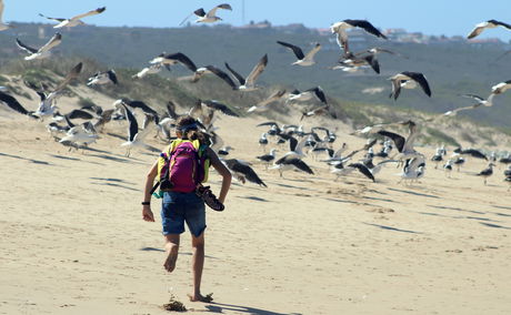 Hiker running birds.