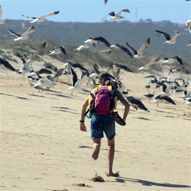 Hiker running birds.