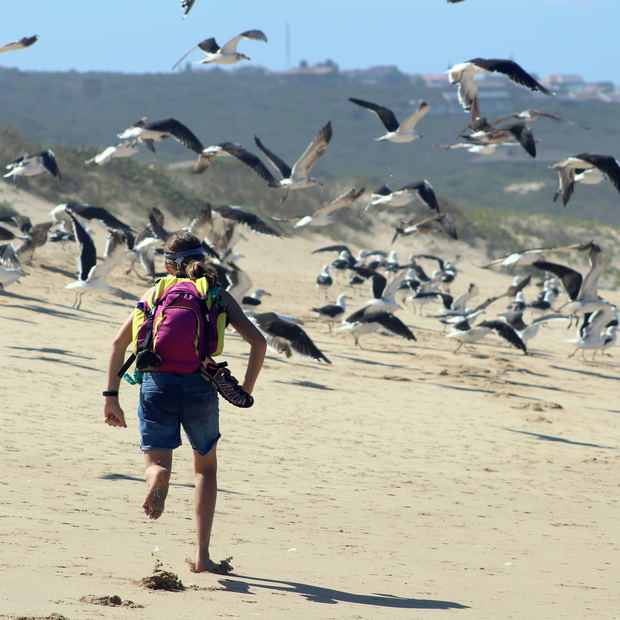 Hiker running birds. Hiker running birds.