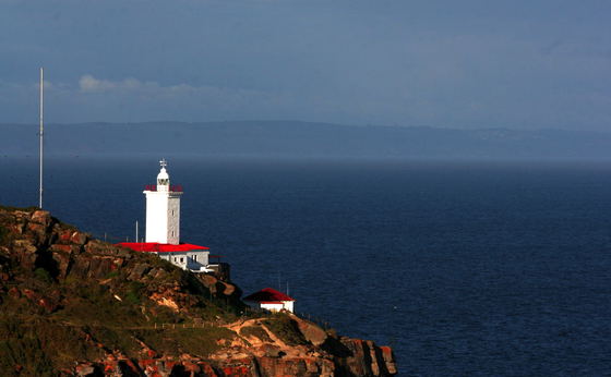 1-Day Oystercatcher Trail - St Blaize