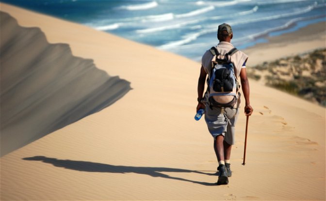 oystercatcher trail, mossel bay, garden route, south africa, oster catcher, birding mossel bay