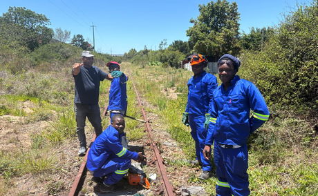 Bush clearing, Outeniqua Choo Tjoe