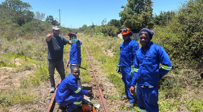 Bush clearing, Outeniqua Choo Tjoe Bush clearing, Outeniqua Choo Tjoe