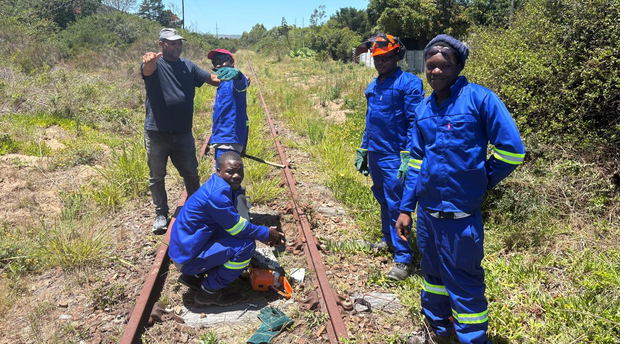 Bush clearing, Outeniqua Choo Tjoe Bush clearing, Outeniqua Choo Tjoe