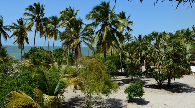 View from villa 4 Kijongo Bay Resort