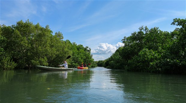 Kayak the Msangazi River or the Indian Ocean in Tanzania from Kijongo Bay, close to Saadani National Park and the historical town of Pangani Kayak the Msangazi River or the Indian Ocean in Tanzania from Kijongo Bay, close to Saadani National Park and the historical town of Pangani