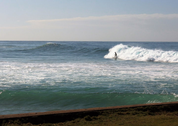 Surfers in he water at Shelly Beach