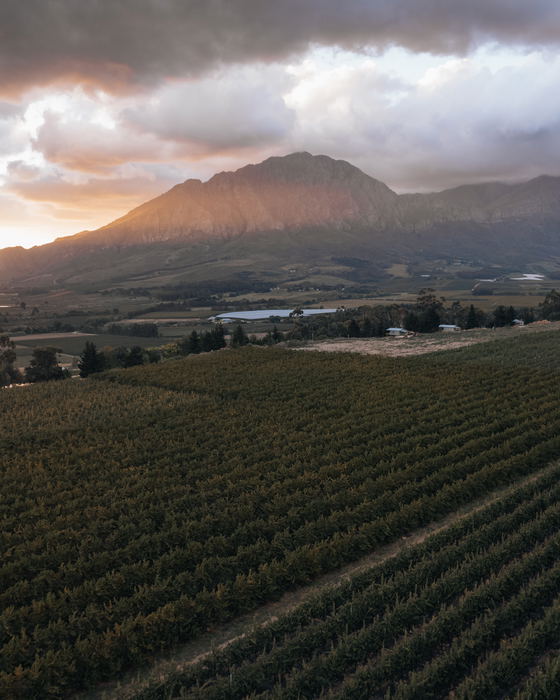 Outpost 4: Serenity and Style in the Tulbagh Winelands