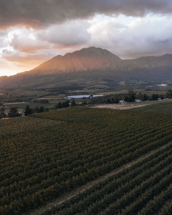 Outpost 4: Serenity and Style in the Tulbagh Winelands