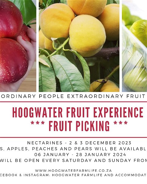 Hoogwater Fruit Experience