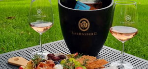 Exclusive Bergsicht Experience: Wine, Art & Views at Saronsberg