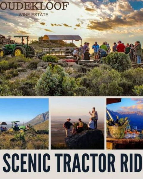 Scenic Tractor Ride, Oudekloof Wine Estate