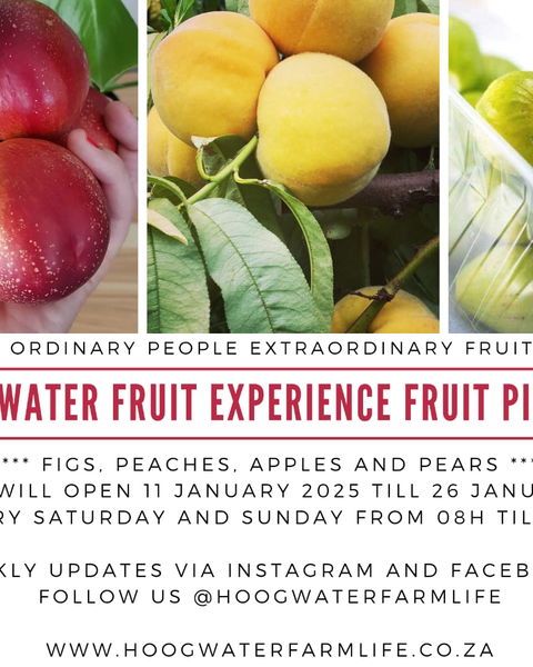 Hoogwater Fruit Experience