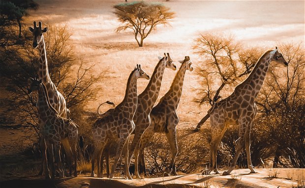 11-DAY QUICK VISIT NAMIBIA 11-DAY QUICK VISIT NAMIBIA