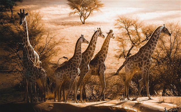 16-DAY NAMIBIA AT A GLANCE 16-DAY NAMIBIA AT A GLANCE