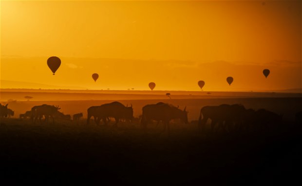 Kenya Sky