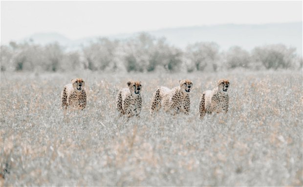 Travel Namibia