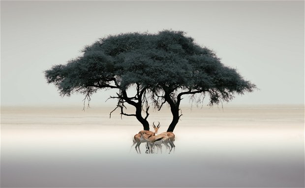 16-DAY NAMIBIA AT A GLANCE (STANDARD GUIDED) 16-DAY NAMIBIA AT A GLANCE (STANDARD GUIDED)