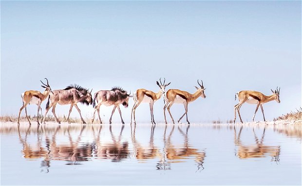 Travel Namibia Travel Namibia